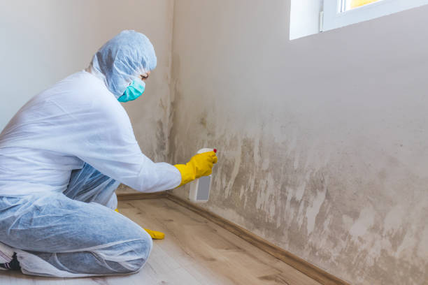 Commercial Mold Remediation assessment for commercial property in Harleysville