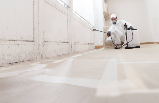 Black mold remediation team in Harleysville