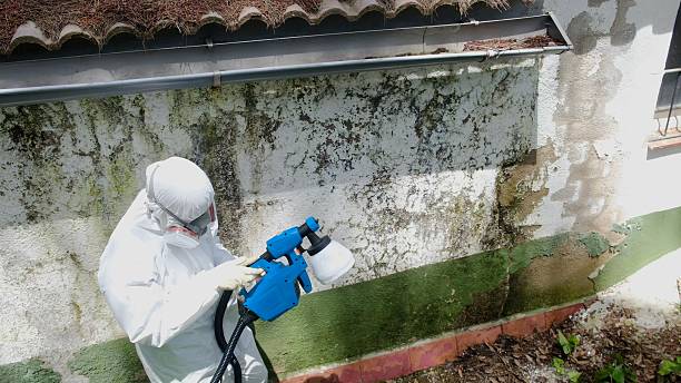 Mold Remediation service in Harleysville, Harleysville, PA